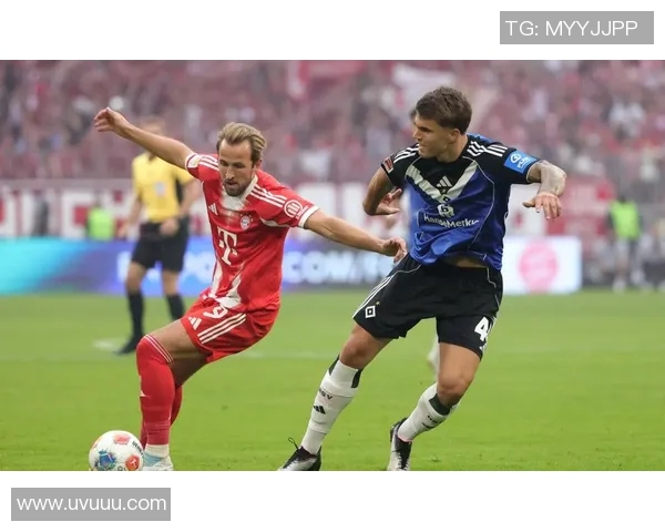 汉堡主场重生，德甲保级希望再现